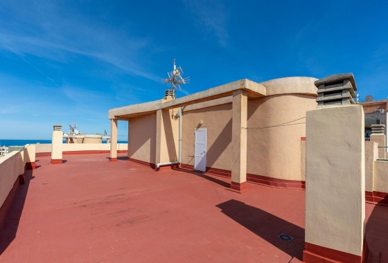 Rynek wtórny - Apartament - Torrevieja - Cabo cervera