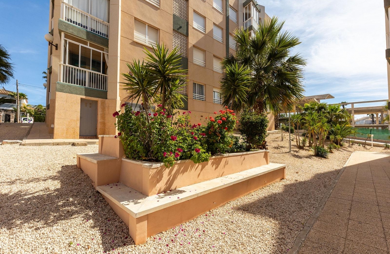 Rynek wtórny - Apartament - Torrevieja - Cabo cervera