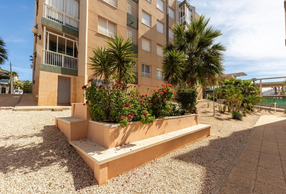 Rynek wtórny - Apartament - Torrevieja - Cabo cervera