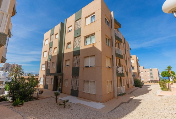 Rynek wtórny - Apartament - Torrevieja - Cabo cervera