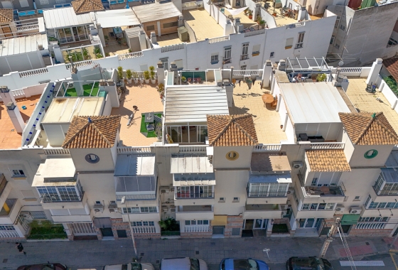 Reventa - Apartment - Torrevieja - Nueva Torrevieja - Aguas Nuevas