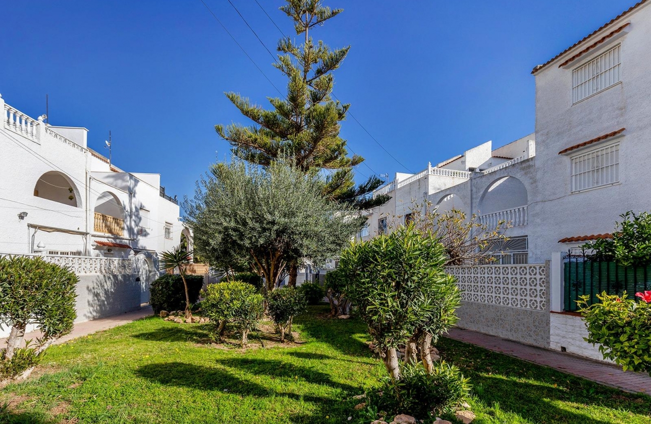 Rynek wtórny - Szeregowiec - Torrevieja - Calas blanca