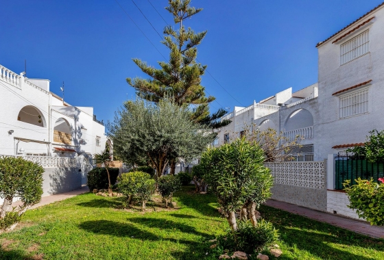 Rynek wtórny - Szeregowiec - Torrevieja - Calas blanca