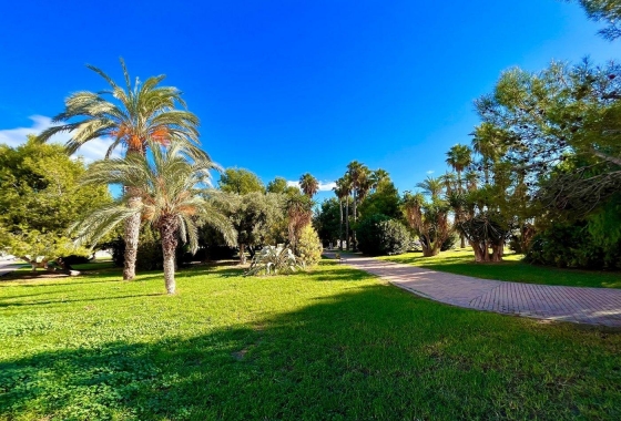 Rynek wtórny - Szeregowiec - Torrevieja - Calas blanca