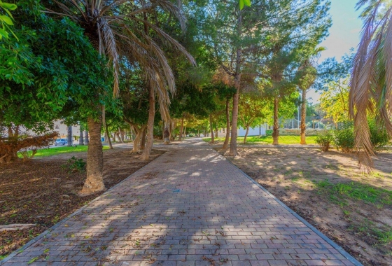 Rynek wtórny - Szeregowiec - Torrevieja - Calas blanca
