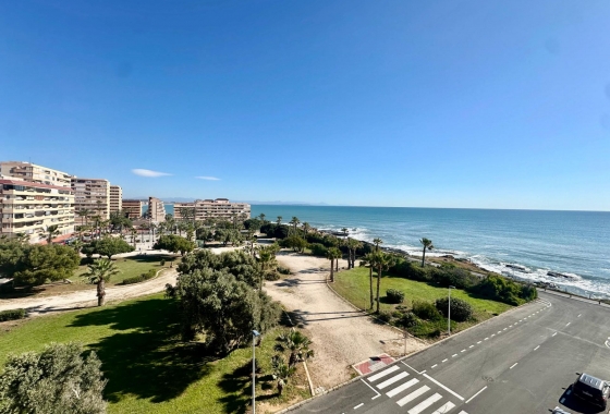 Resale - Apartment - Torrevieja - Cabo cervera