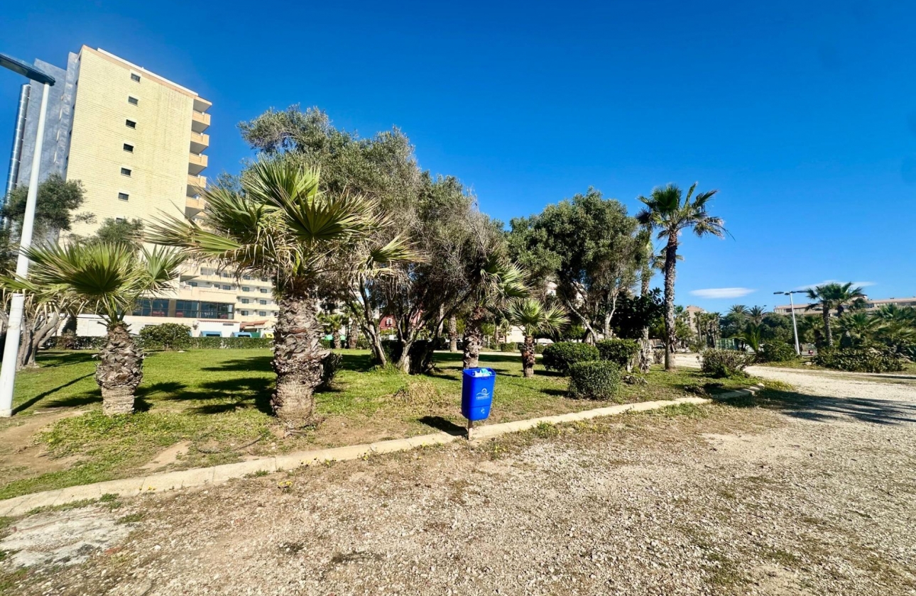 Resale - Apartment - Torrevieja - Cabo cervera