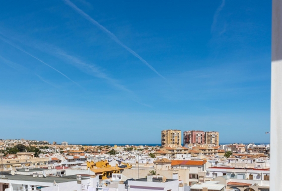 Rynek wtórny - Penthouse - Torrevieja - Playa del Cura