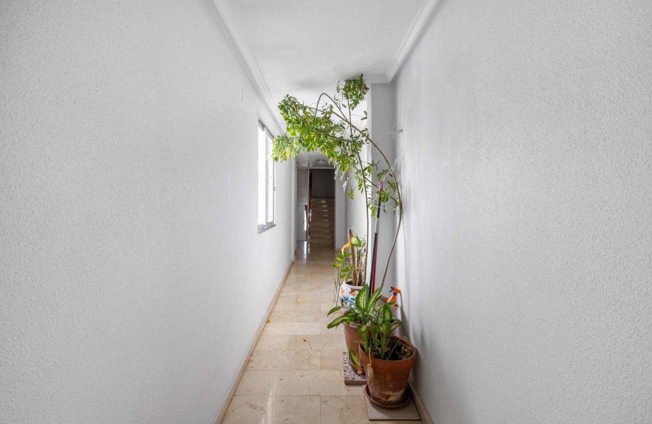 Rynek wtórny - Penthouse - Torrevieja - Playa del Cura