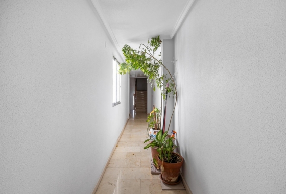 Rynek wtórny - Penthouse - Torrevieja - Playa del Cura