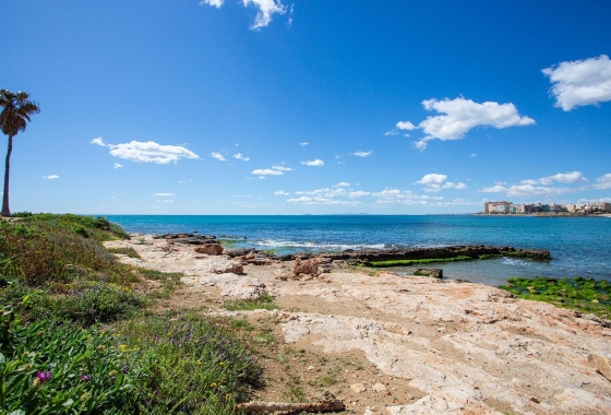 Reventa - Bungalow - Torrevieja - Centro