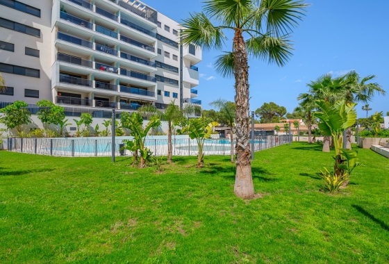 Rynek wtórny - Apartament - Orihuela Costa - Dehesa de campoamor