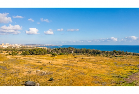 Rynek wtórny - Penthouse - Orihuela Costa - Punta Prima