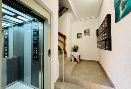 Rynek wtórny - Apartament - Torrevieja - La Mata