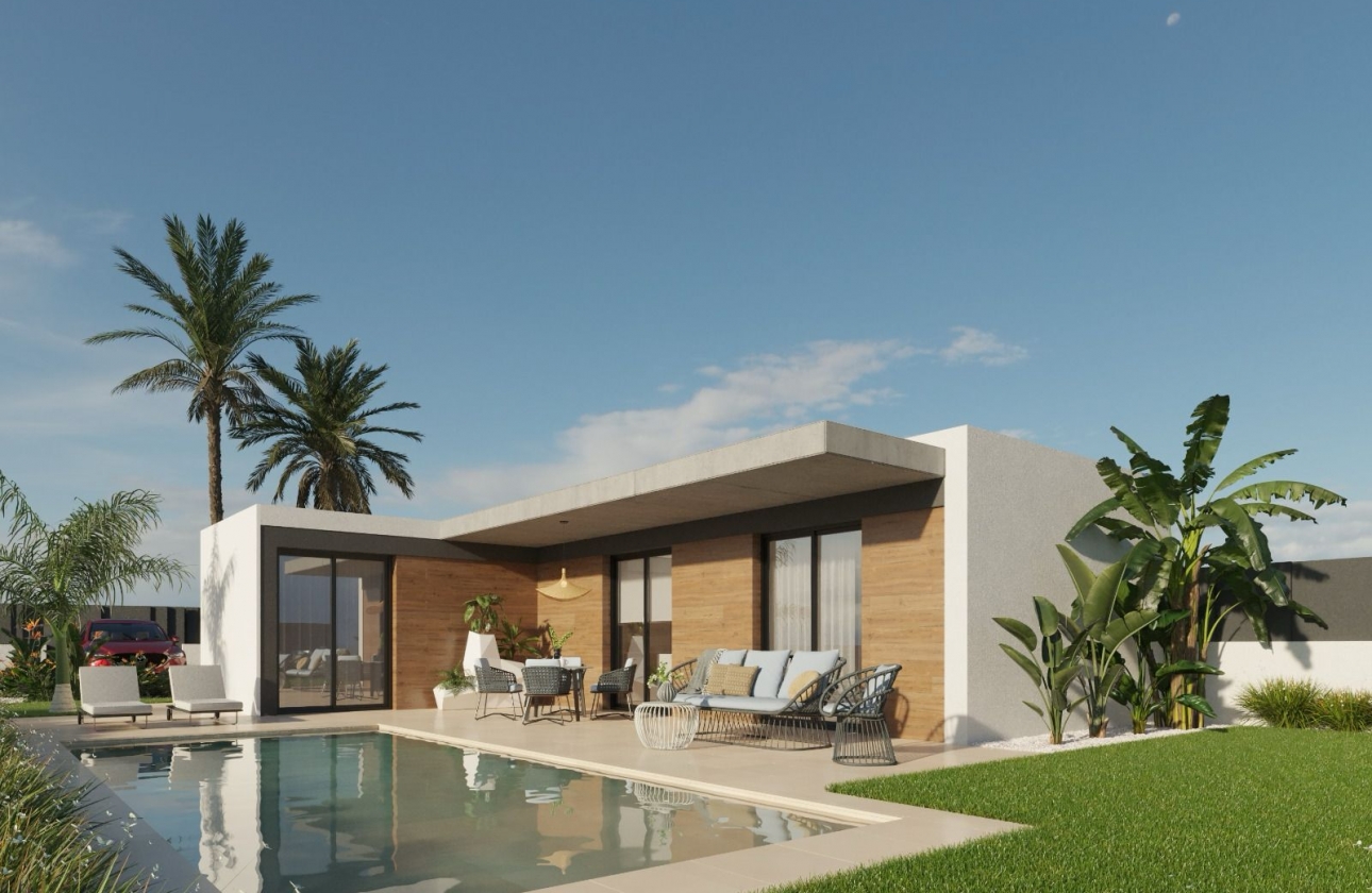 New Build - Detached - Molina De Segura - Molina de Segura