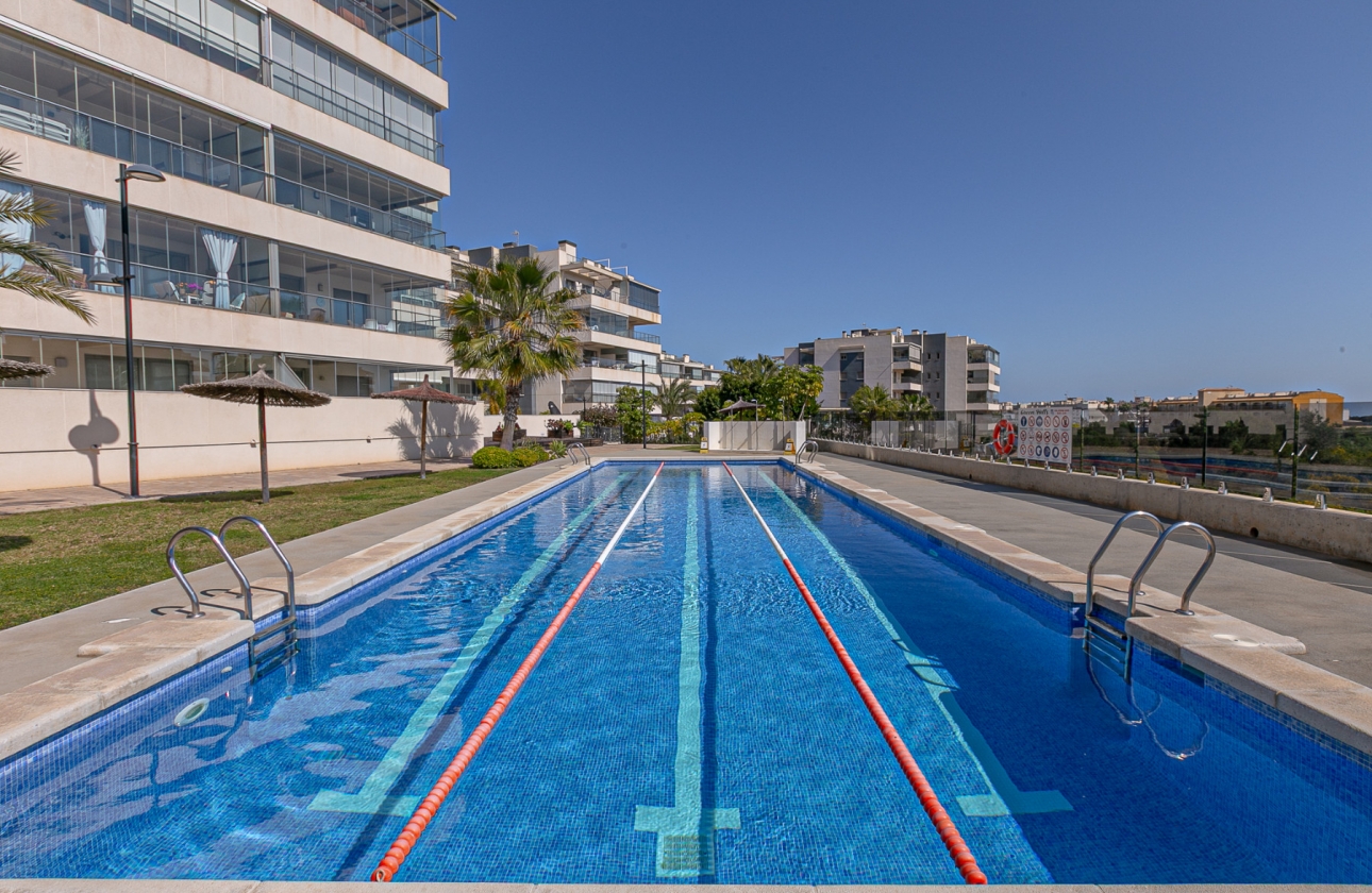 Rynek wtórny - Apartament - Orihuela Costa - Pimienta