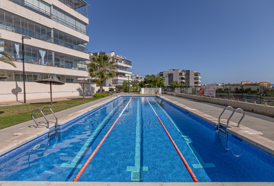 Rynek wtórny - Apartament - Orihuela Costa - Pimienta