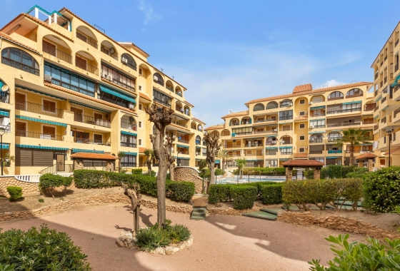 Rynek wtórny - Apartament - Torrevieja - La Mata