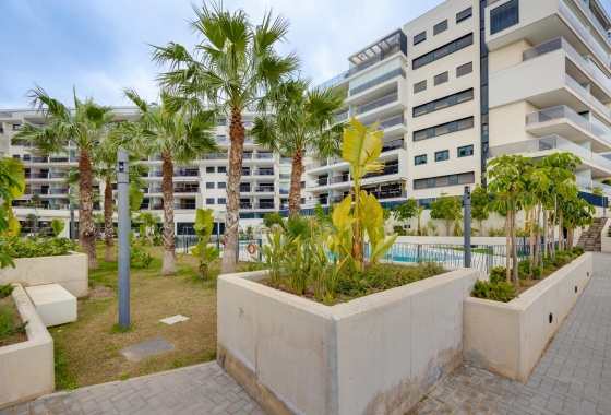 Rynek wtórny - Penthouse - Orihuela Costa - Campoamor