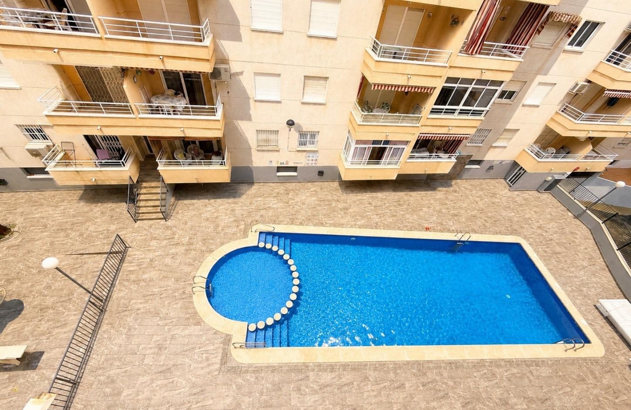 Rynek wtórny - Apartament - Torrevieja - Estacion de autobuses