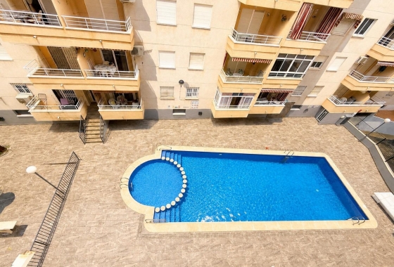 Rynek wtórny - Apartament - Torrevieja - Estacion de autobuses