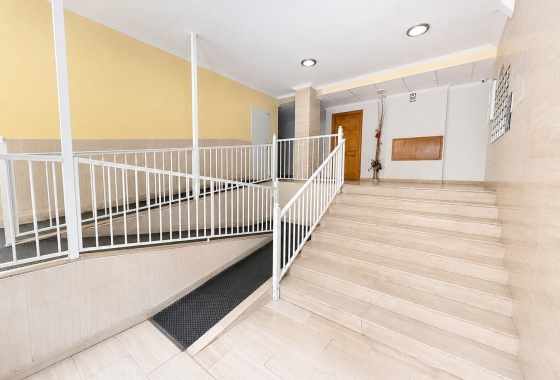 Rynek wtórny - Apartament - Torrevieja - Estacion de autobuses