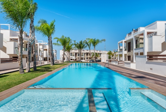 Rynek pierwotny - Apartament - Torrevieja