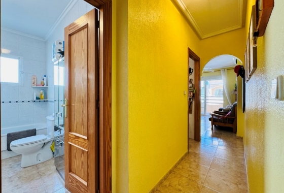 Rynek wtórny - Apartament - Torrevieja - Torrevista Playa