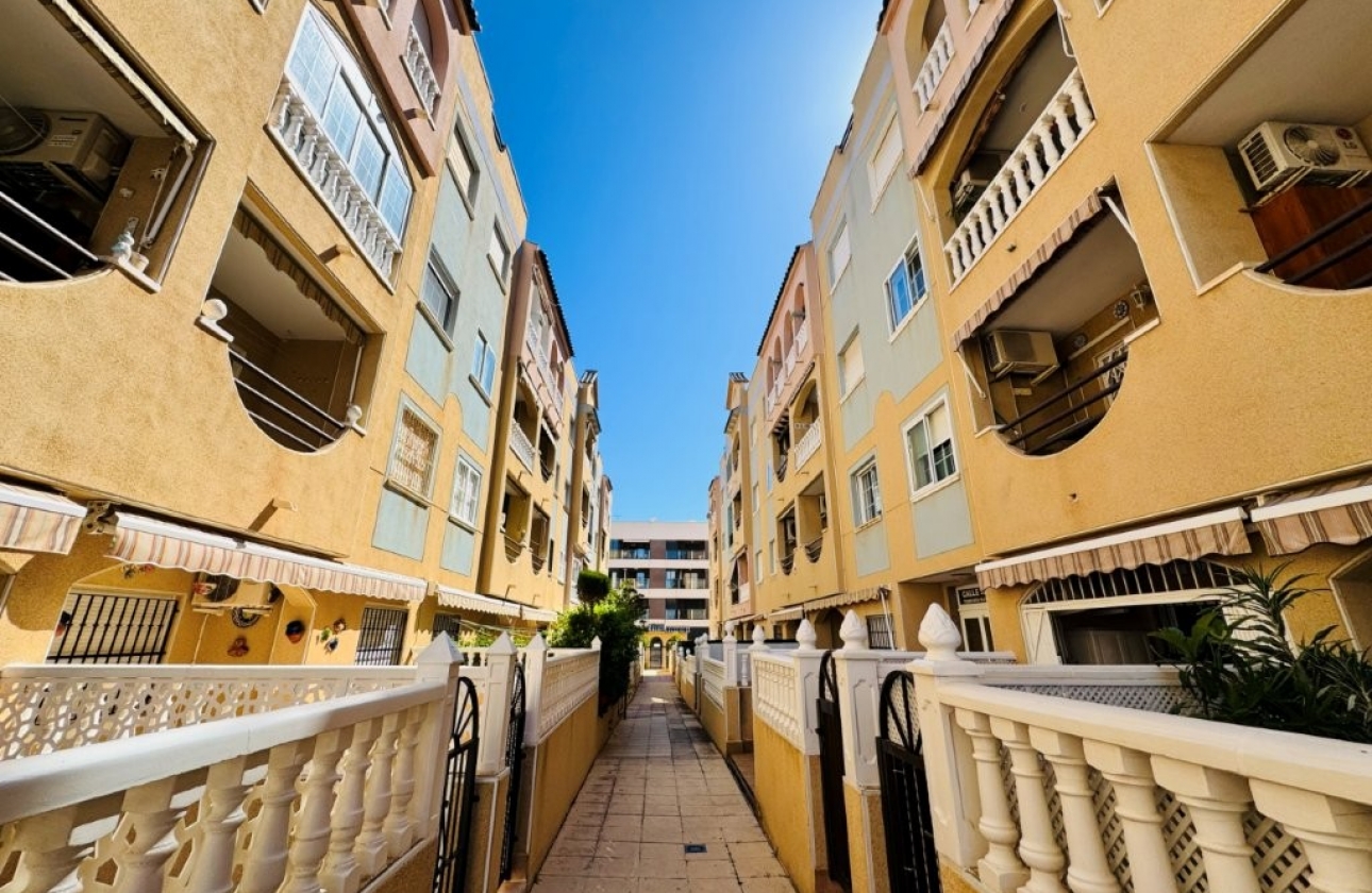 Rynek wtórny - Apartament - Torrevieja - Torrevista Playa