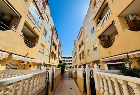 Rynek wtórny - Apartament - Torrevieja - Torrevista Playa