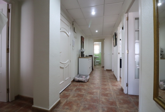 Rynek wtórny - Apartament - Dolores - Dolores - Town