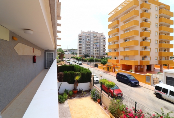 Rynek wtórny - Apartament - Guardamar del Segura - Guardamar del Segura - Town