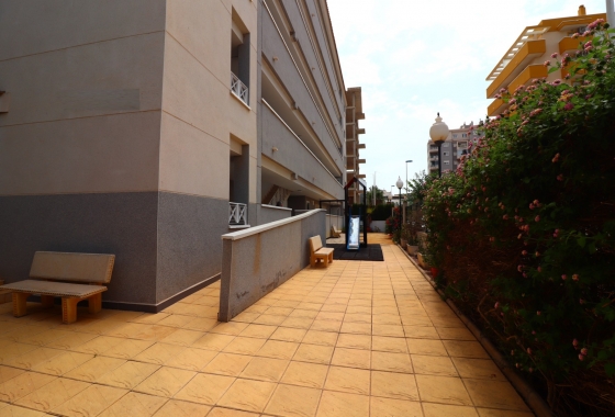 Rynek wtórny - Apartament - Guardamar del Segura - Guardamar del Segura - Town