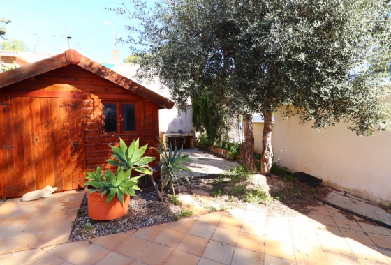 Rynek wtórny - Apartament - Pinar de Campoverde - Pinar de Campoverde - Village