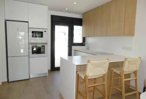 Obra nueva - Apartment - Pilar de la Horadada
