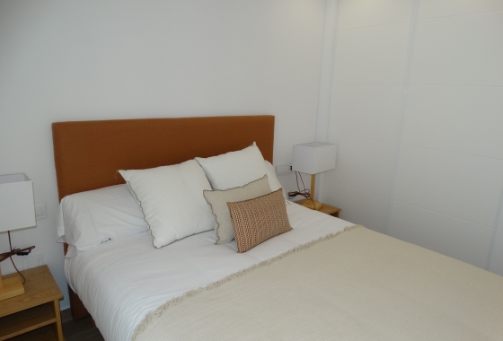 Obra nueva - Apartment - Pilar de la Horadada