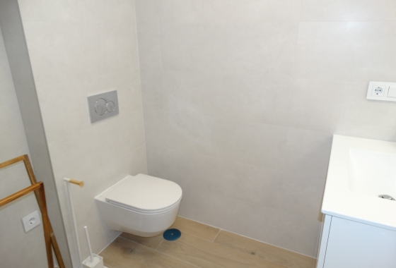 Obra nueva - Apartment - Pilar de la Horadada
