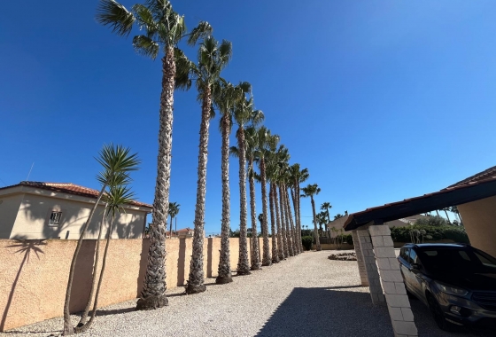 Reventa - Villa - Catral