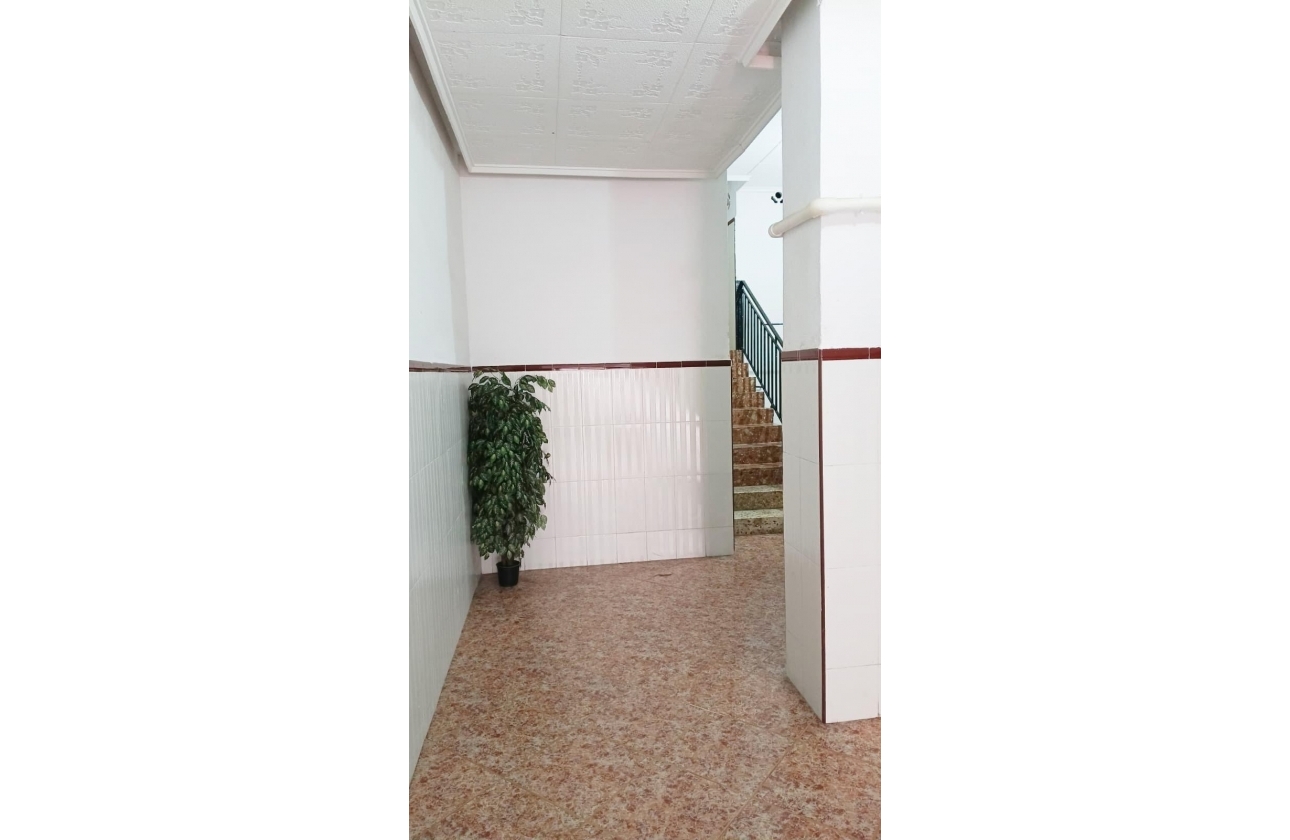 Reventa - Apartment - Torrevieja - Centro
