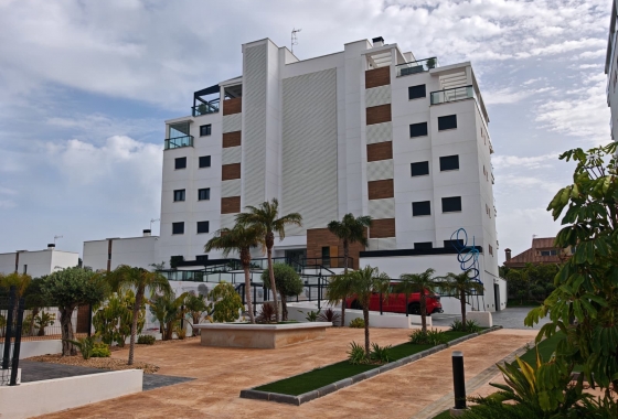 Rynek wtórny - Apartament - Pilar de la Horadada - Mil Palmeras