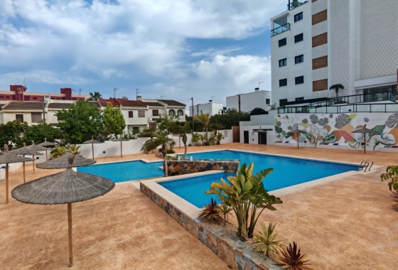 Rynek wtórny - Apartament - Pilar de la Horadada - Mil Palmeras