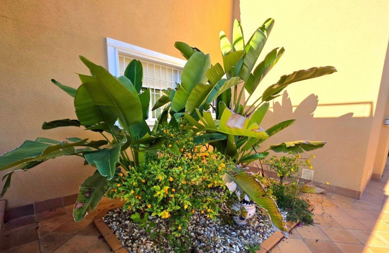 Rynek wtórny - Villa - Orihuela Costa - Campoamor