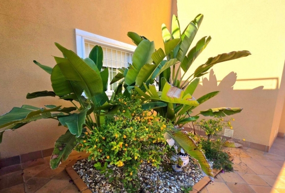 Rynek wtórny - Villa - Orihuela Costa - Campoamor