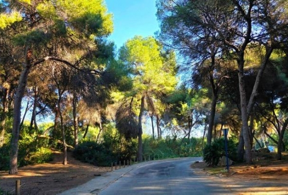 Rynek wtórny - Villa - Orihuela Costa - Campoamor