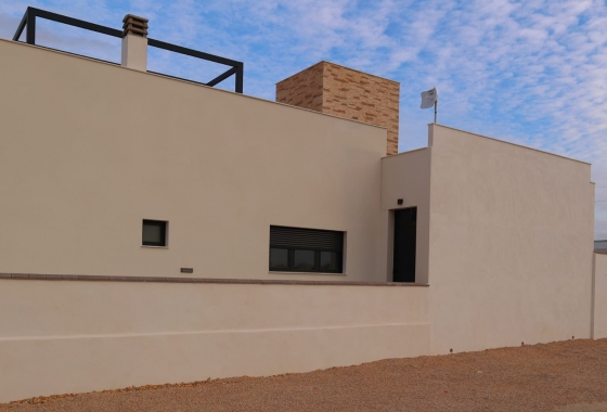 Obra nueva - Detached - Fuente Álamo