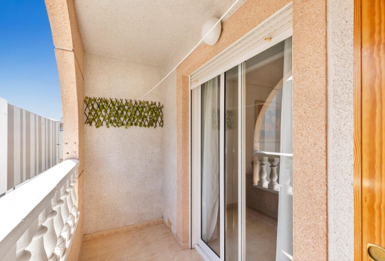 Rynek wtórny - Studio/Kawalerka - Torrevieja - Centro - Muelle Pesquero