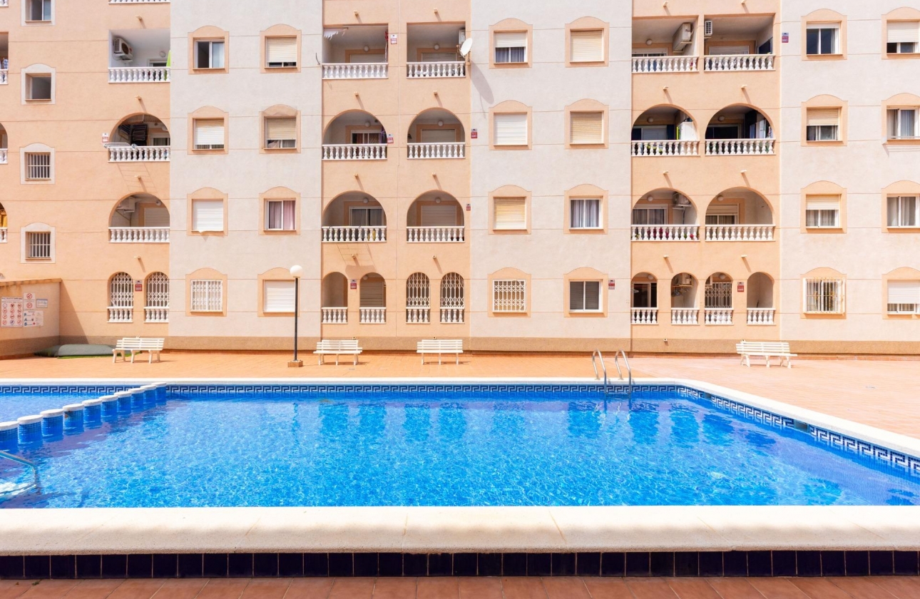 Rynek wtórny - Studio/Kawalerka - Torrevieja - Centro - Muelle Pesquero