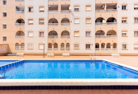 Rynek wtórny - Studio/Kawalerka - Torrevieja - Centro - Muelle Pesquero