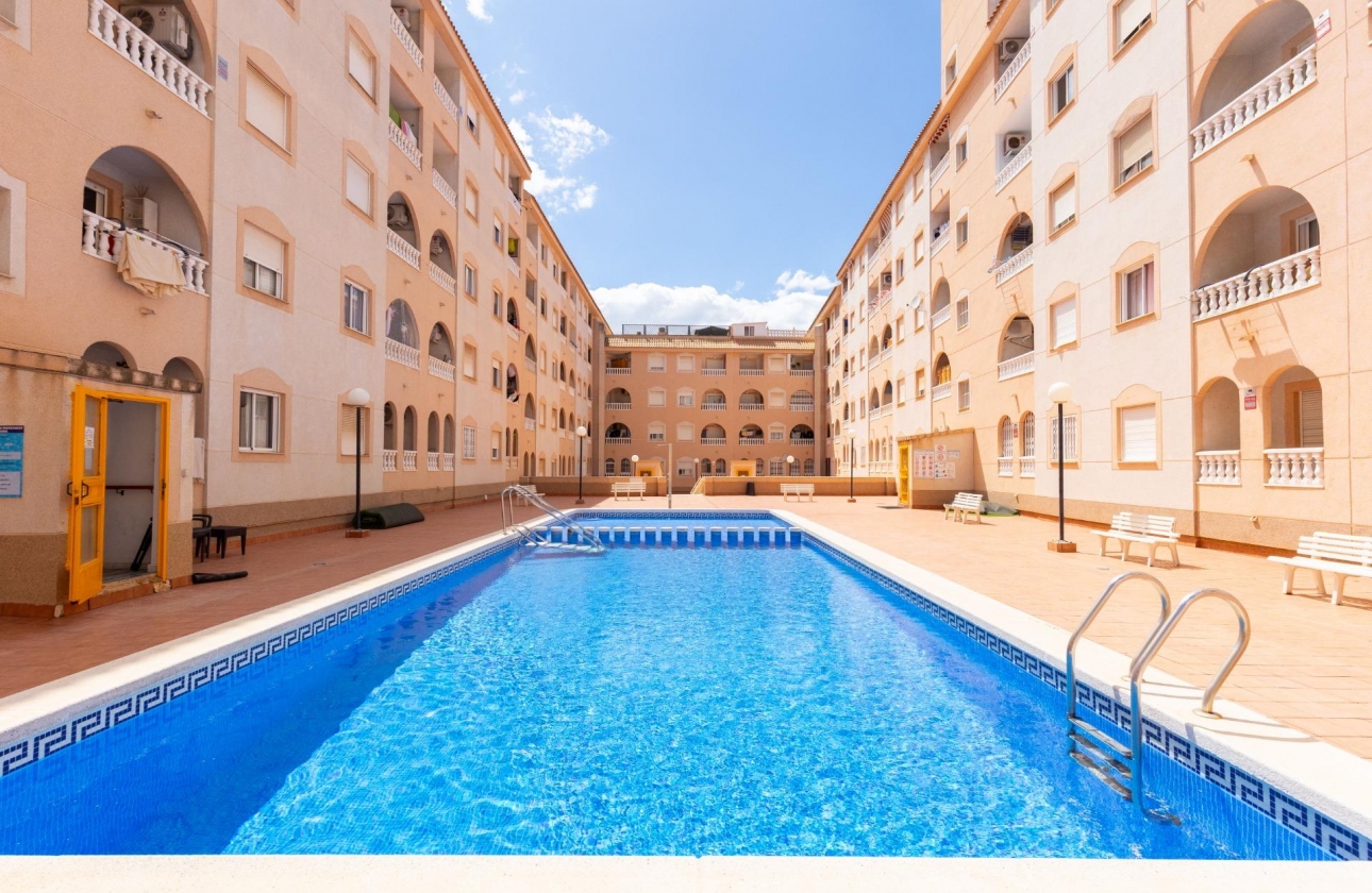 Rynek wtórny - Studio/Kawalerka - Torrevieja - Centro - Muelle Pesquero