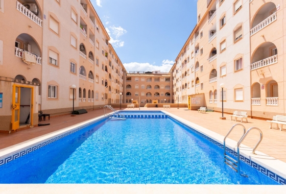 Rynek wtórny - Studio/Kawalerka - Torrevieja - Centro - Muelle Pesquero